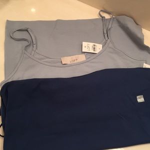 Loft cotton camis, powder blue, blue